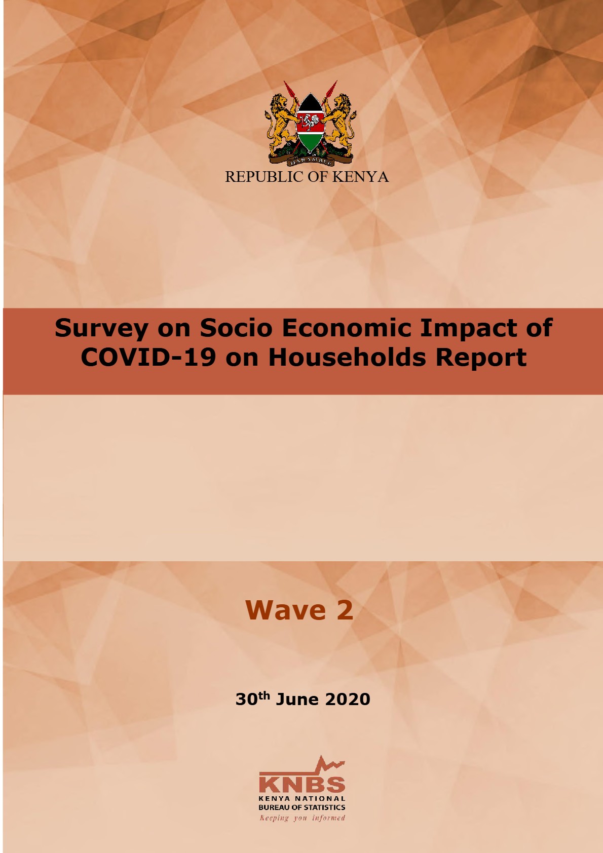 COVID-19-Survey-Key-Indicators-Report-Wave-2