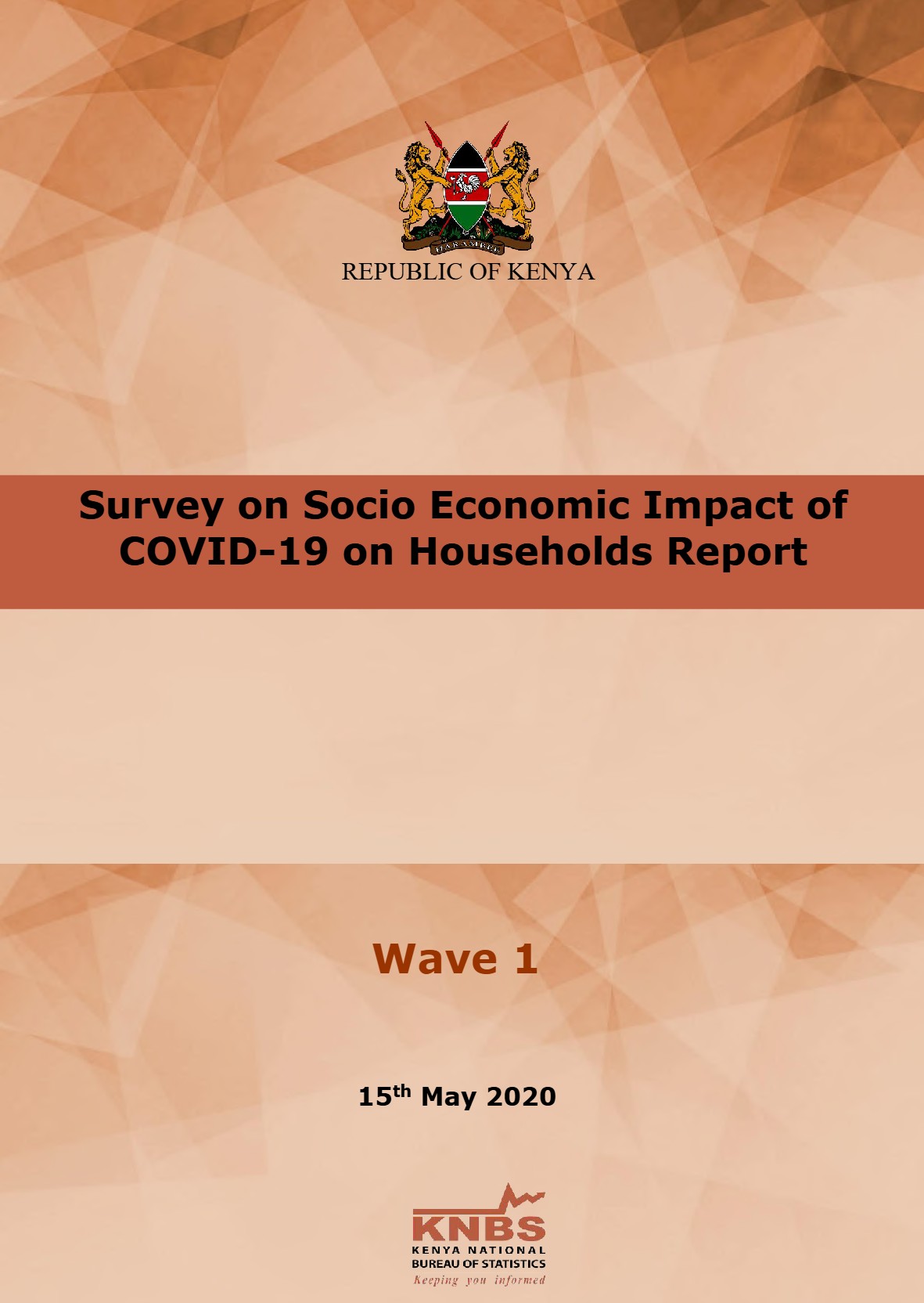 Socio-Economic-Impact-of-COVID-19-on-Households-Survey-Wave-1