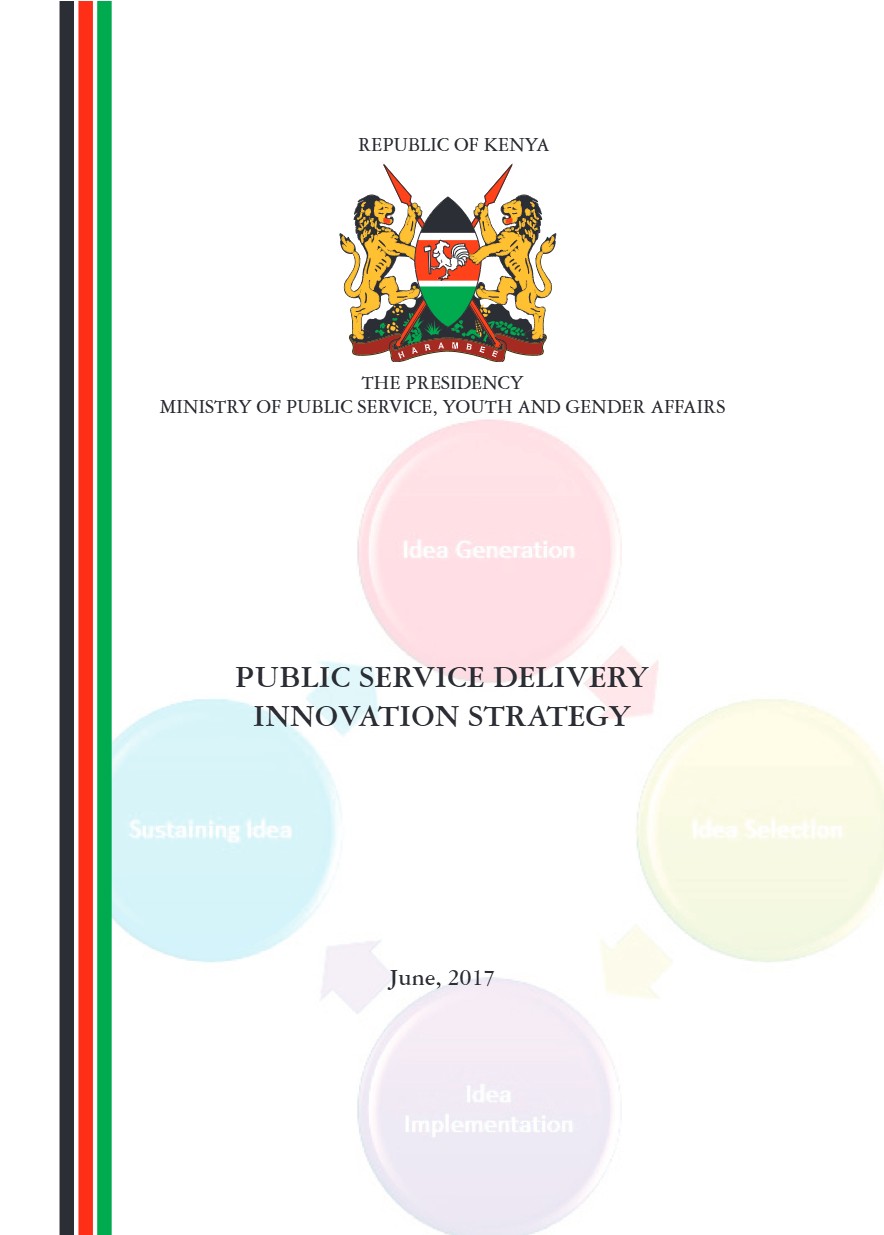 Public Service Delivery Innovation Strategy